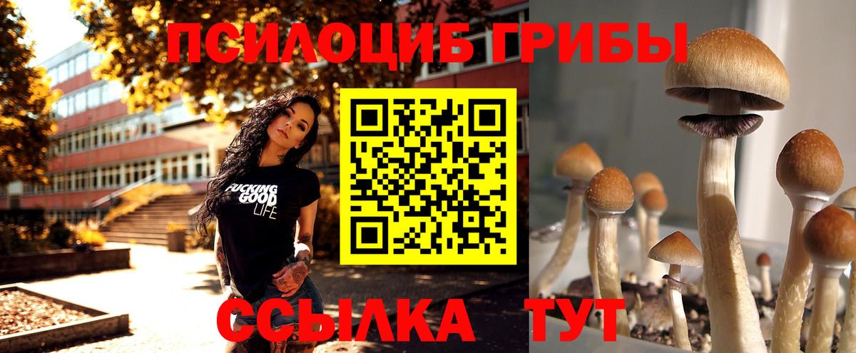 Галлюциногенные грибы MAGIC MUSHROOMS Анапа